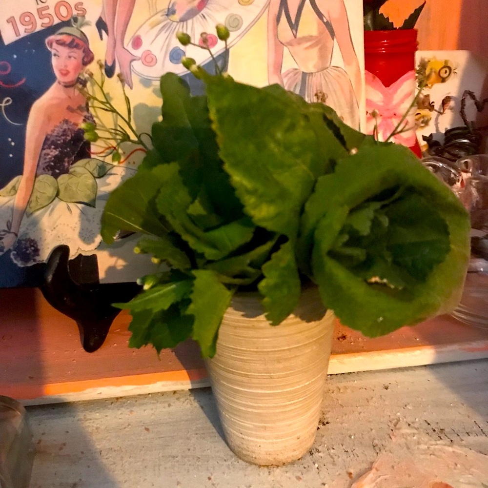 I’m selling natural leave roses adamant Arrangement for any occasion